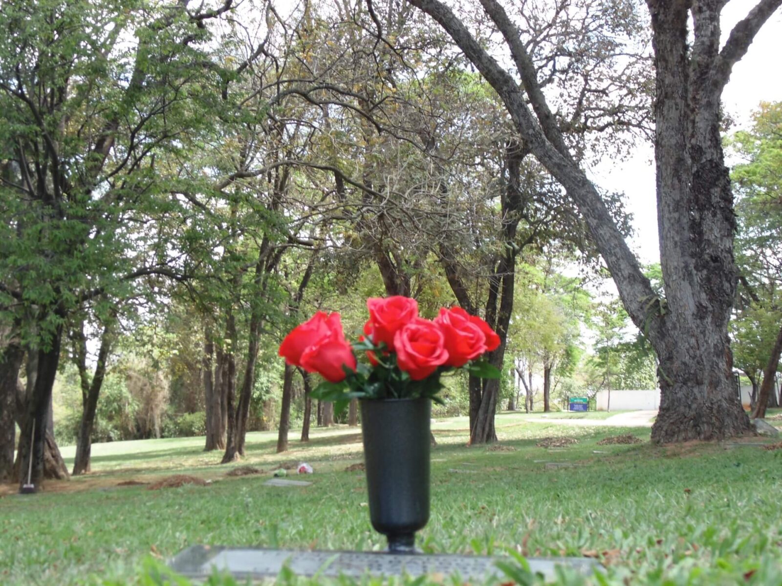 plano funerário como funciona